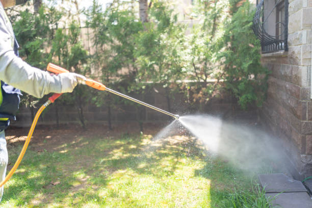 Best Lawn Pest Control  in Struthers, OH